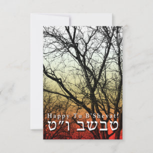 Invitation Heureux Tu B’Shevat ! : Jour de l'Arbour juif