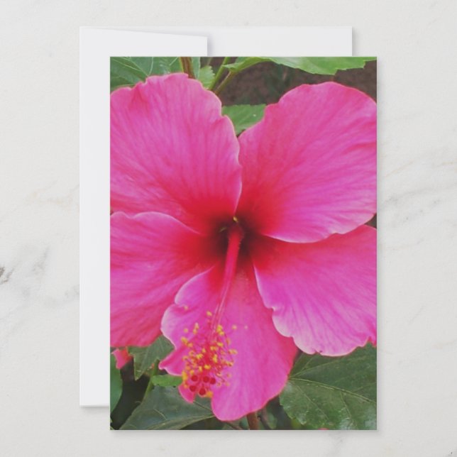 Invitation Hibiscus (Devant)