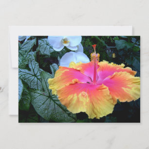 Invitation hibiscus
