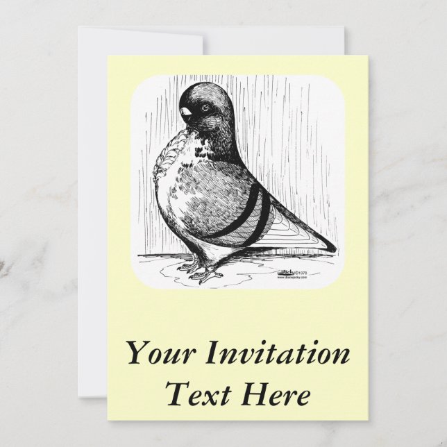 Invitation Hibou africain Pigeon 1978 (Devant)