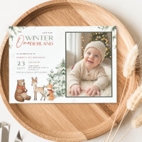 Hiver Pays-Bas Animal Enfant Photo 1er Anniversair