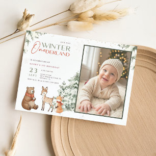 Invitation Hiver Pays-Bas Animal Enfant Photo 1er Anniversair