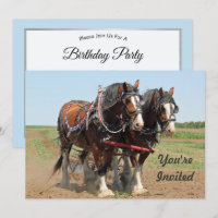 Horse Clydesdale Agriculture Photo Anniversaire