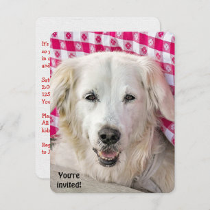 Invitation Hot Dog Fry