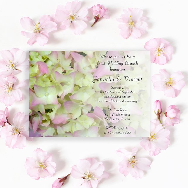 Invitation Hydrangea Presque rose Floral Post Mariage Brunch (Créateur téléchargé)