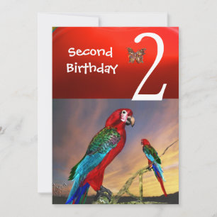 Invitation HYPER PARROTS / Deuxième fête d'anniversaire Ruby