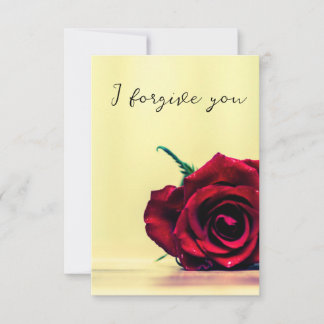 Invitation i forgive you sky horse