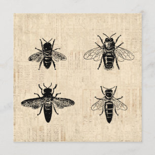 Invitation Illustration d'abeilles Art antique Conception Vin