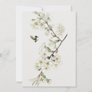 Invitation illustration de floraison de pomme vintage