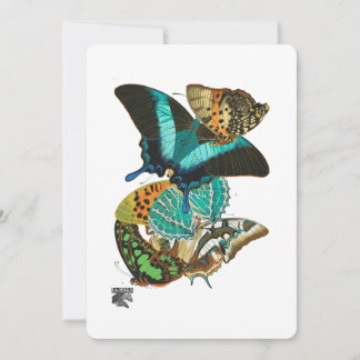 Invitation Illustration des papillons Vintages E.A. Séguy