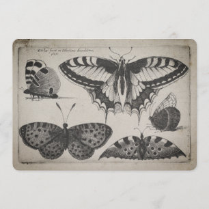 Invitation Illustration vintage de papillon de machaon (60)