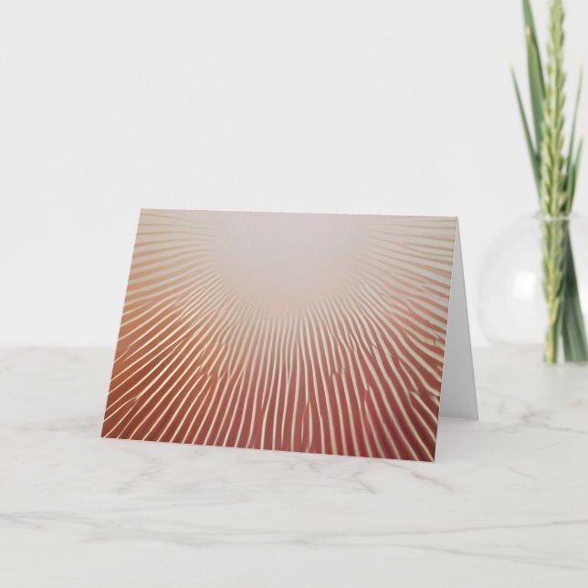 Invitation Impressions photos (Devant)