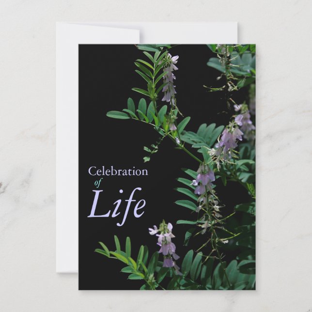 Invitation Indigo 3 Célébration de l'Faire-part funéraire (Devant)