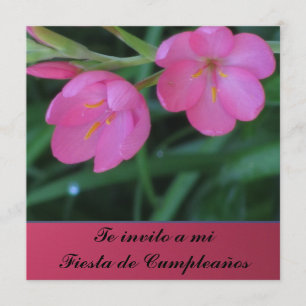 Invitation Invito d'Invitación - de Te par MI Fiesta de