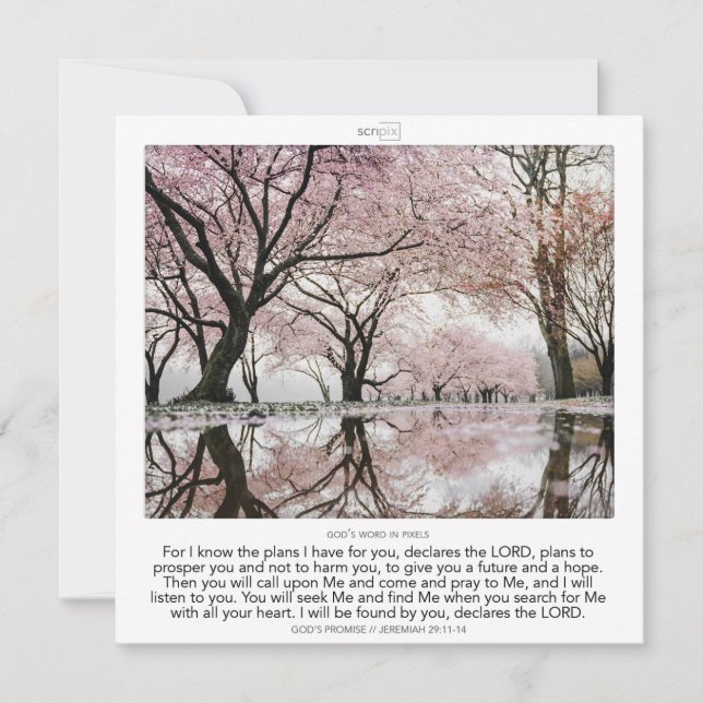 Invitation Jeremiah 29:11-14 GOD'S PROMISE SCRIPIX (Devant)