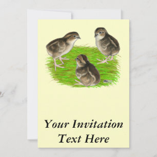 Invitation Jeunes cailles de Bobwhite