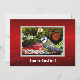 Invitation Joli oiseau Rouge nourricier pin photo Anniversair