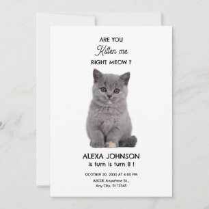 Invitation Joli petit chat 