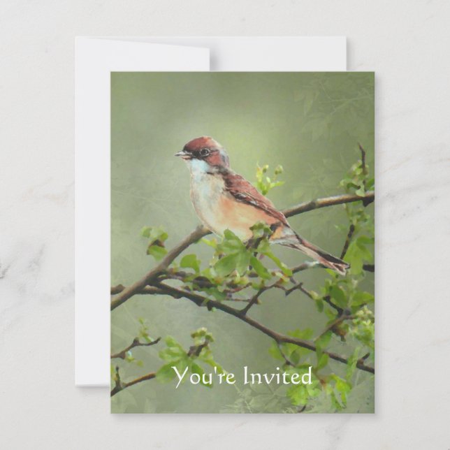 Invitation Joyeux anniversaire aquarelle Whitethroat thème oi (Devant)