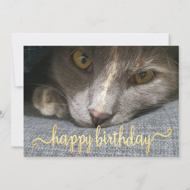 Invitation joyeux anniversaire mignon chat photo or calligrap (Devant)