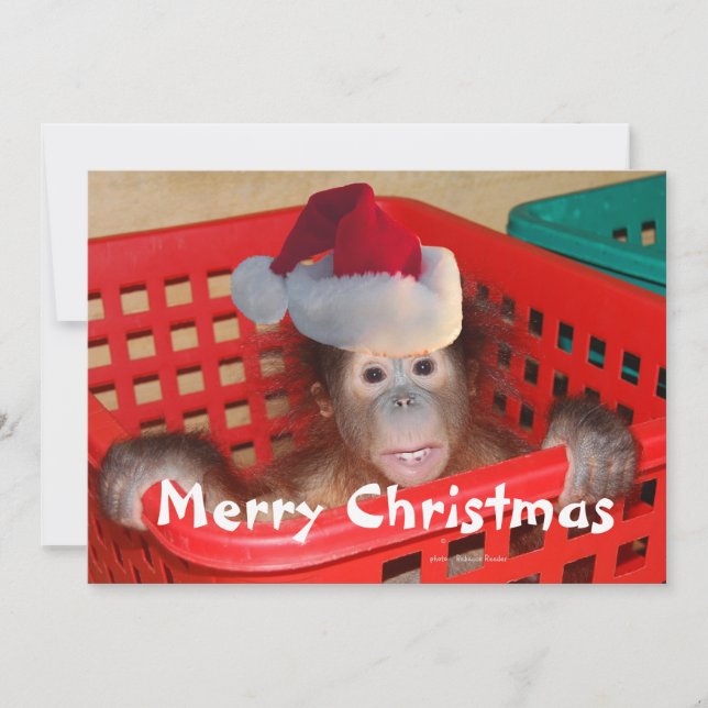 Invitation Joyeux Noël Créez votre propre message (Devant)