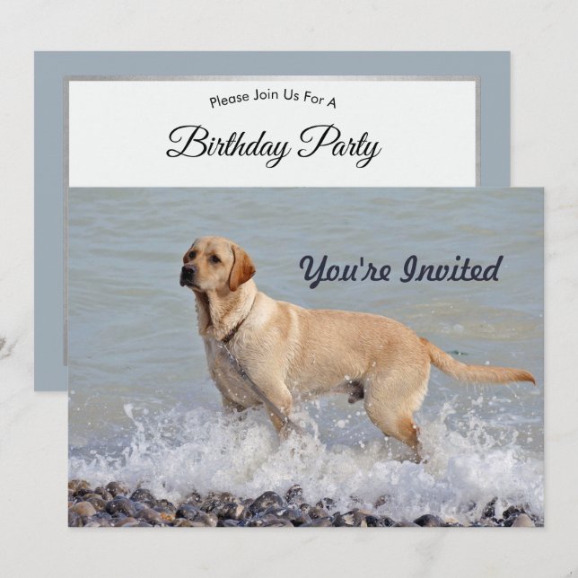 Invitation Lab Yellow Dog Water Photo Anniversaire (Devant / Derrière)