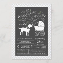 Labrador Baby shower Laboratoire neutre pour les f