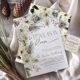Invitation L'amour est en fleurs hiver Poinsettia Fleurs