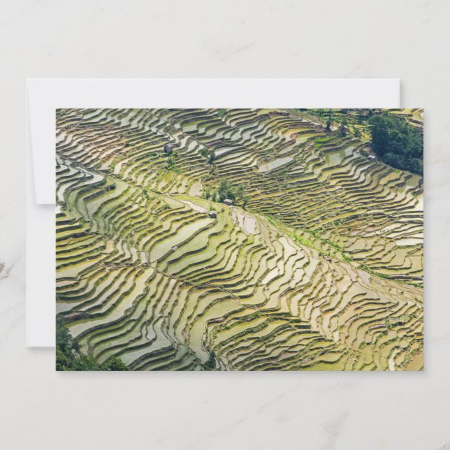 Invitation Les célèbres terrasses de riz yuanyang - Yunnan, C (Devant)