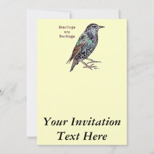 Invitation Les étourneaux sont des chéris