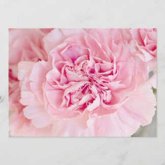 Invitation Les oeillères roses