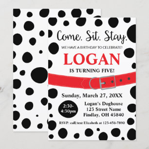 Invitation Les Spots Dalmatiens Venir S'Asseoir Rester Chien 