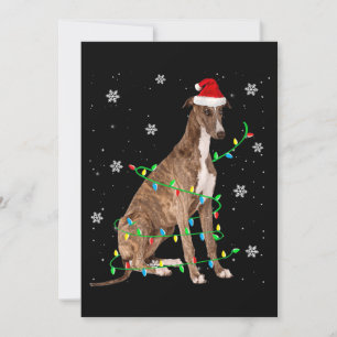 Invitation lévrier lumière de noël joli père noël lévrier