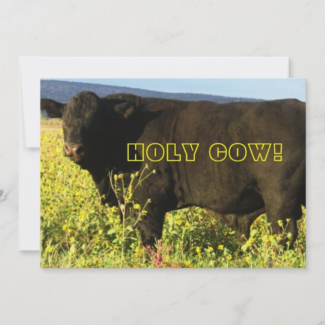 Invitation L'heure du rassemblement !  Vache sacrée - Soirée  (Devant)