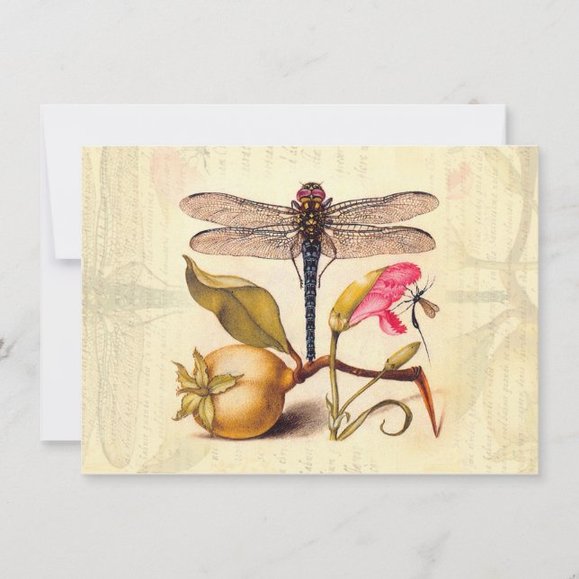 Invitation Libellule Botanique Nature Faune Hoefnagel Art (Devant)