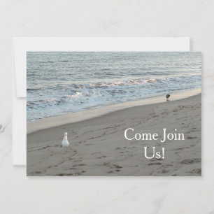 Invitation L'invitation de Beach Party peut être personnalisé
