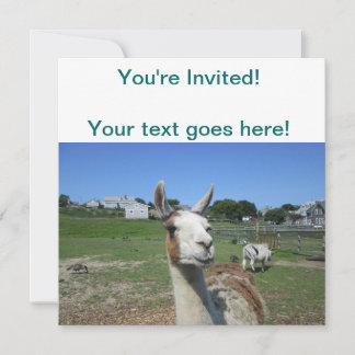 Invitation Llama