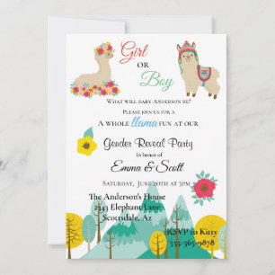 Invitation Llama Colorful Genre Reveal Party