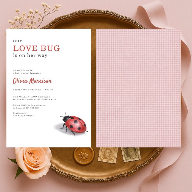 Invitation Love Bug Ladybug Gingham Baby Shower (Créateur téléchargé)