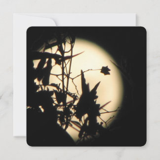 Invitation Love in the Moonlight shimmer