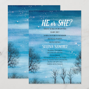 Invitation Lui ou elle Snowflake Winter Wonderland Baby showe
