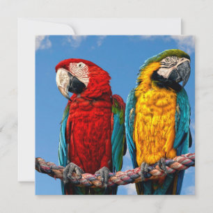 Invitation Macaw bleu et jaune et macaw Scarlet