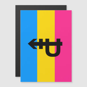 Invitation Magnétique Drapeau de fierté pansexuelle