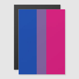 Invitation Magnétique Drapeau de la fierté bisexuelle