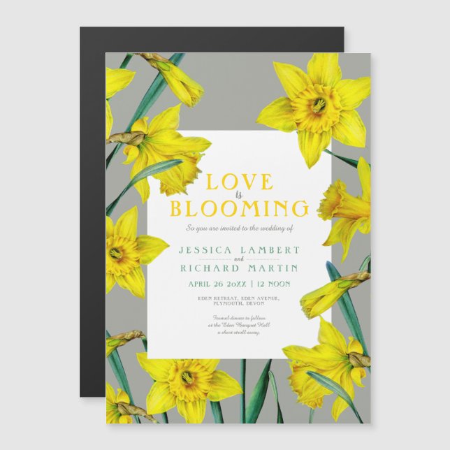 Invitation Magnétique L'amour est en fleur mariage de jonquilles jaunes  (Devant / Derrière)