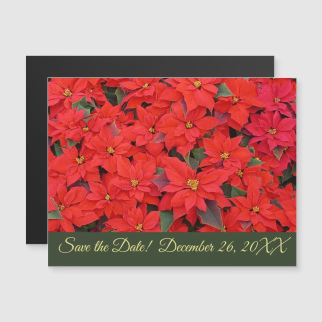 Invitation Magnétique Red Poinsettias I Christmas Holiday Enregistrer la (Devant / Derrière)