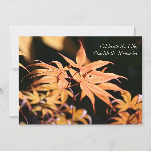 Invitation Maple Tree 1 Service commémoratif des célébrations (Devant)