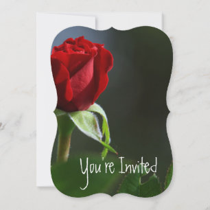 Invitation Mariage 15e anniversaire Rose Jardin Flower