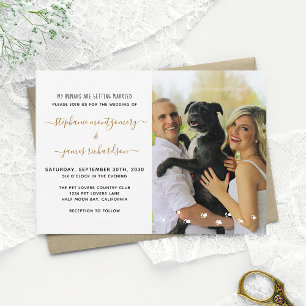 Invitation Mariage Amusant de Mes Humains Photo de Mariage po