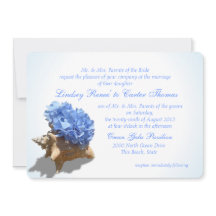 Mariage bleu Hydrangea